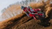 Gallery Thumbnail
