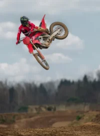Gallery Thumbnail