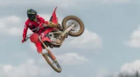 Gallery Thumbnail