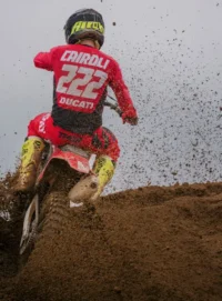 Gallery Thumbnail