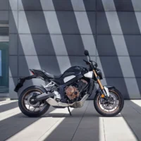 Gallery Thumbnail